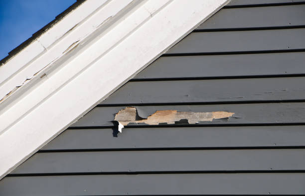 Shed Removal in Warren, AR